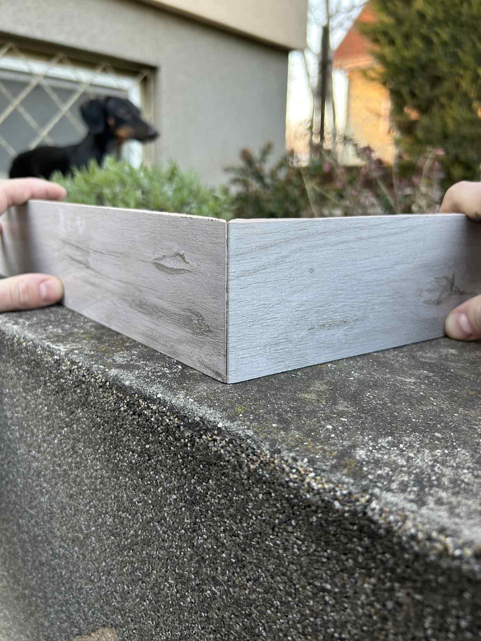 kutya, tacskó, burkolás budapest, burkoló budapest